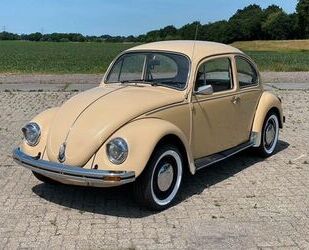 VW Käfer Gebrauchtwagen