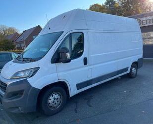 Fiat Ducato Gebrauchtwagen