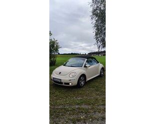 VW Beetle Gebrauchtwagen