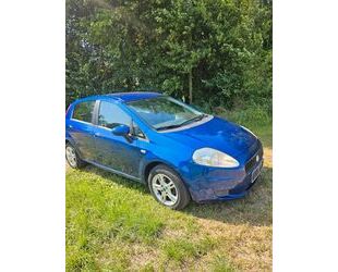 Fiat Punto Gebrauchtwagen