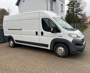 Fiat Ducato Gebrauchtwagen