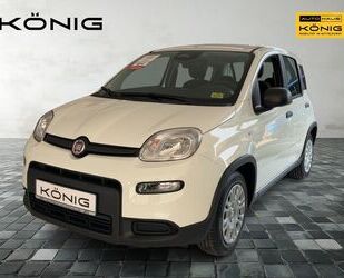 Fiat Panda Gebrauchtwagen