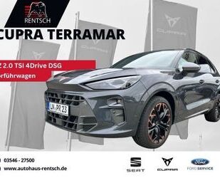 Cupra Terramar Gebrauchtwagen