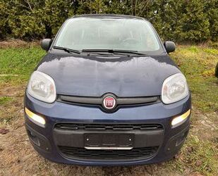 Fiat Panda Gebrauchtwagen