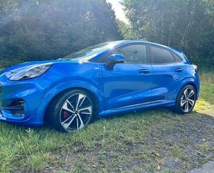 Ford Puma Gebrauchtwagen