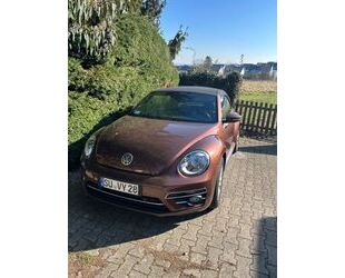 VW Beetle Gebrauchtwagen