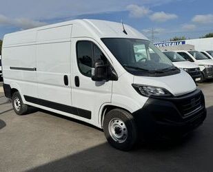 Fiat Ducato Gebrauchtwagen