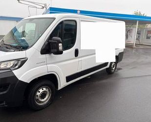 Fiat Ducato Gebrauchtwagen