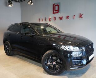 Jaguar F-Pace Gebrauchtwagen