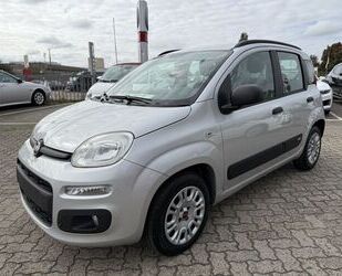 Fiat Panda Gebrauchtwagen