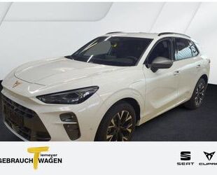 Cupra Terramar Gebrauchtwagen
