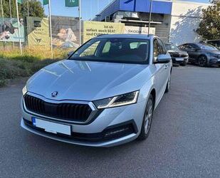 Renault Octavia 