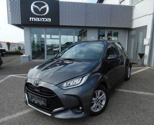 Mazda 2 Hybrid Gebrauchtwagen