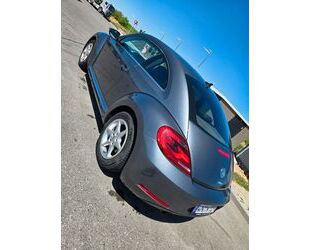 VW Beetle Gebrauchtwagen