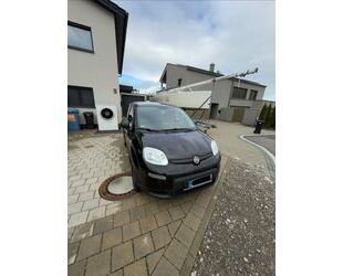 Fiat Panda Gebrauchtwagen