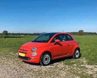 Fiat 500 Gebrauchtwagen