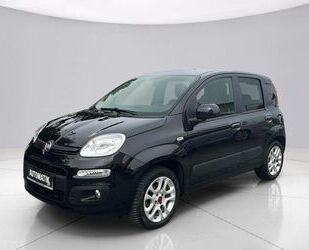 Fiat Panda Gebrauchtwagen