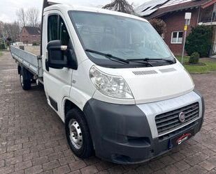 Fiat Ducato Gebrauchtwagen