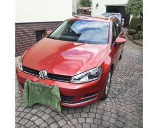 VW Volkswagen Golf 7 1.4 TSI 1. Hand Navi AHK Tempoma Gebrauchtwagen