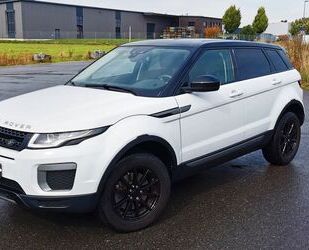 Land Rover Range Rover Evoque Gebrauchtwagen