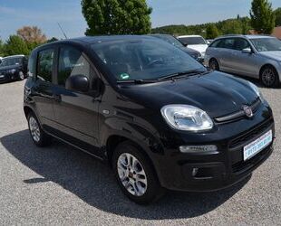 Fiat Panda Gebrauchtwagen