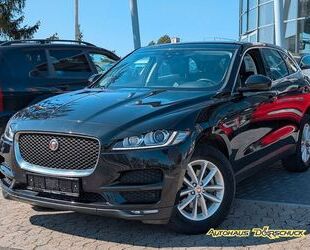 Jaguar F-Pace Gebrauchtwagen