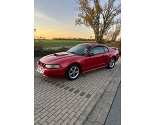 Ford Mustang Gebrauchtwagen