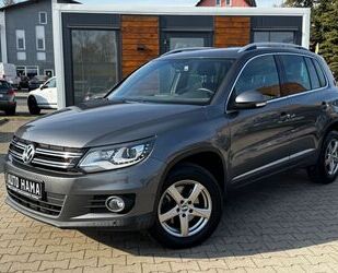 VW Tiguan Gebrauchtwagen