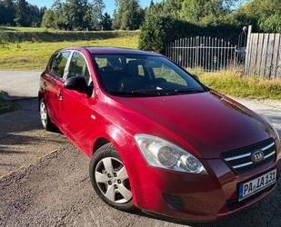 Kia ceed / Ceed Gebrauchtwagen