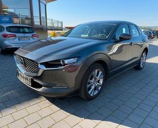 Mazda CX-30 Gebrauchtwagen