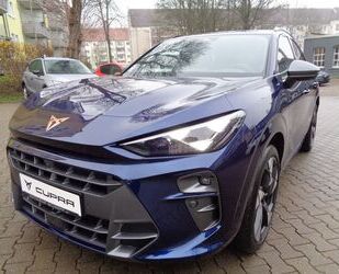 Cupra Terramar Gebrauchtwagen