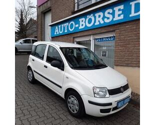 Fiat Panda Gebrauchtwagen