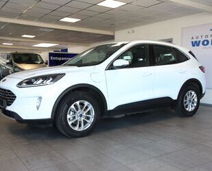 Ford Kuga Gebrauchtwagen