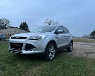 Ford Kuga Gebrauchtwagen