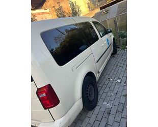 VW Caddy Maxi Gebrauchtwagen