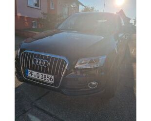 Audi Q5 Gebrauchtwagen