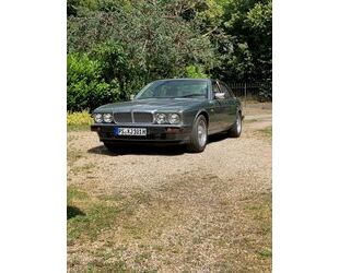 Jaguar XJ40 Gebrauchtwagen