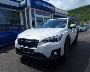 Subaru XV Gebrauchtwagen