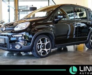 Fiat Panda Gebrauchtwagen