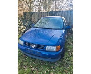VW Polo Gebrauchtwagen