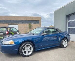 Ford Mustang Gebrauchtwagen
