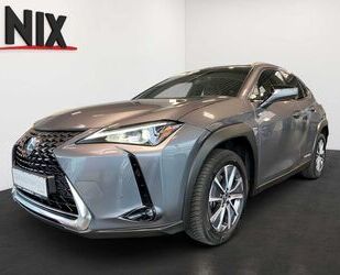 Lexus UX Gebrauchtwagen