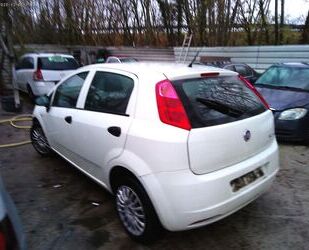 Fiat Punto Gebrauchtwagen