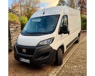 Fiat Ducato Gebrauchtwagen