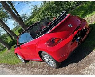 VW Beetle Gebrauchtwagen