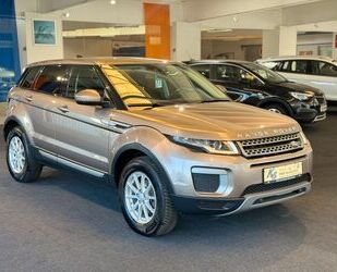 Land Rover Range Rover Evoque Gebrauchtwagen
