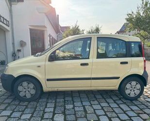 Fiat Panda Gebrauchtwagen