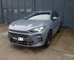 Cupra Terramar Gebrauchtwagen