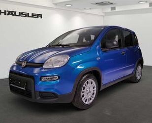 Fiat Panda Gebrauchtwagen