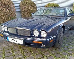 Jaguar XJ8 Gebrauchtwagen